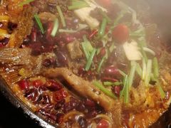 -老板恋上鱼(高新万达店)