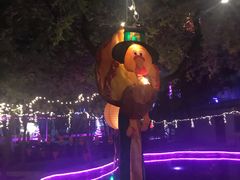-枫花园汽车电影院(朝阳公园店)