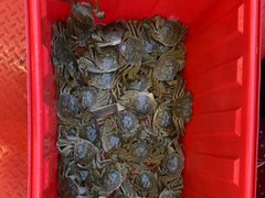 -蟹天蟹地农家菜·阳澄湖大闸蟹(浅水湾店)