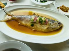 清蒸鲥鱼-上海会馆(香港名都店)