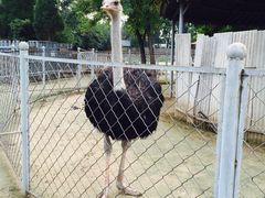 意大利农场-意大利农场度假村