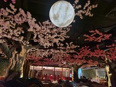 -蓝鲸湾汤泉(包河店)