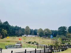 -铁山坪森林公园