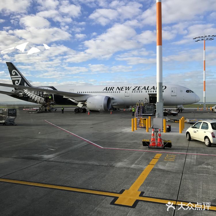 奥克兰国际机场，简介位于新西兰的奥克兰市芒格雷市郊