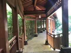 -东海森林温泉度假酒店