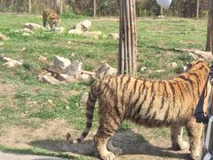 -西安秦岭野生动物园