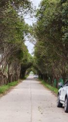 -DORA kids 朵拉儿童摄影花园店