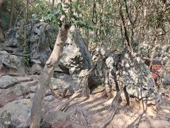 -杭州西湖风景名胜区-三生石