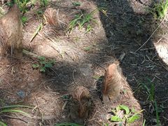 -印象牯岭小厨(牯岭街店)