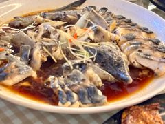 清蒸鲟鱼-京北渔家傲