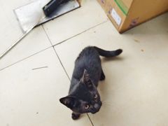 -锅贴大王南翔小笼(临沂二村店)