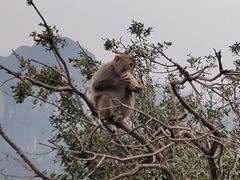 -重庆云阳龙缸景区