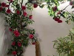 -金麒麟·庭院人家(水秀街店)