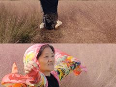 -嘉北郊野公园