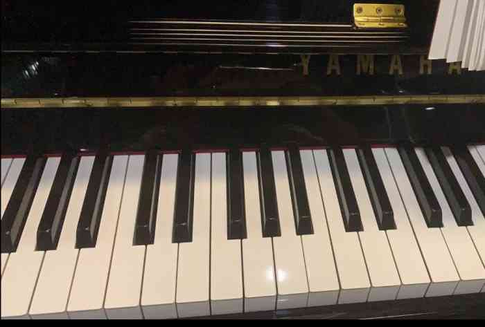 北京圣典成人钢琴培训(五一广场店)