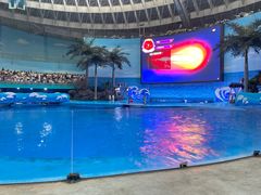 -海合安成都极地海洋公园