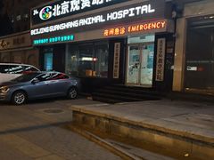 -北京观赏动物医院·24小时大型综合·猫专科·异宠专科