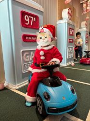 -奈尔宝·儿童乐园·亲子餐厅(华采天地店)