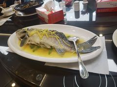 清蒸皖鱼-华庭食府(光明店)