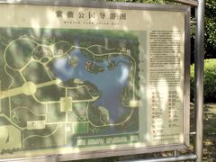 -紫薇公园