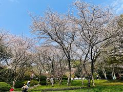-中国茶叶博物馆(双峰馆区)