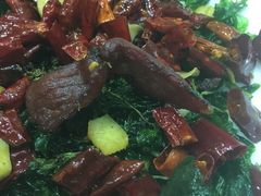 -大笮风(体育馆总店)