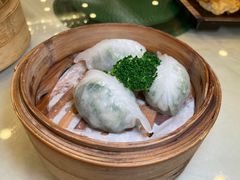 鲜虾香茜饺-余荫居