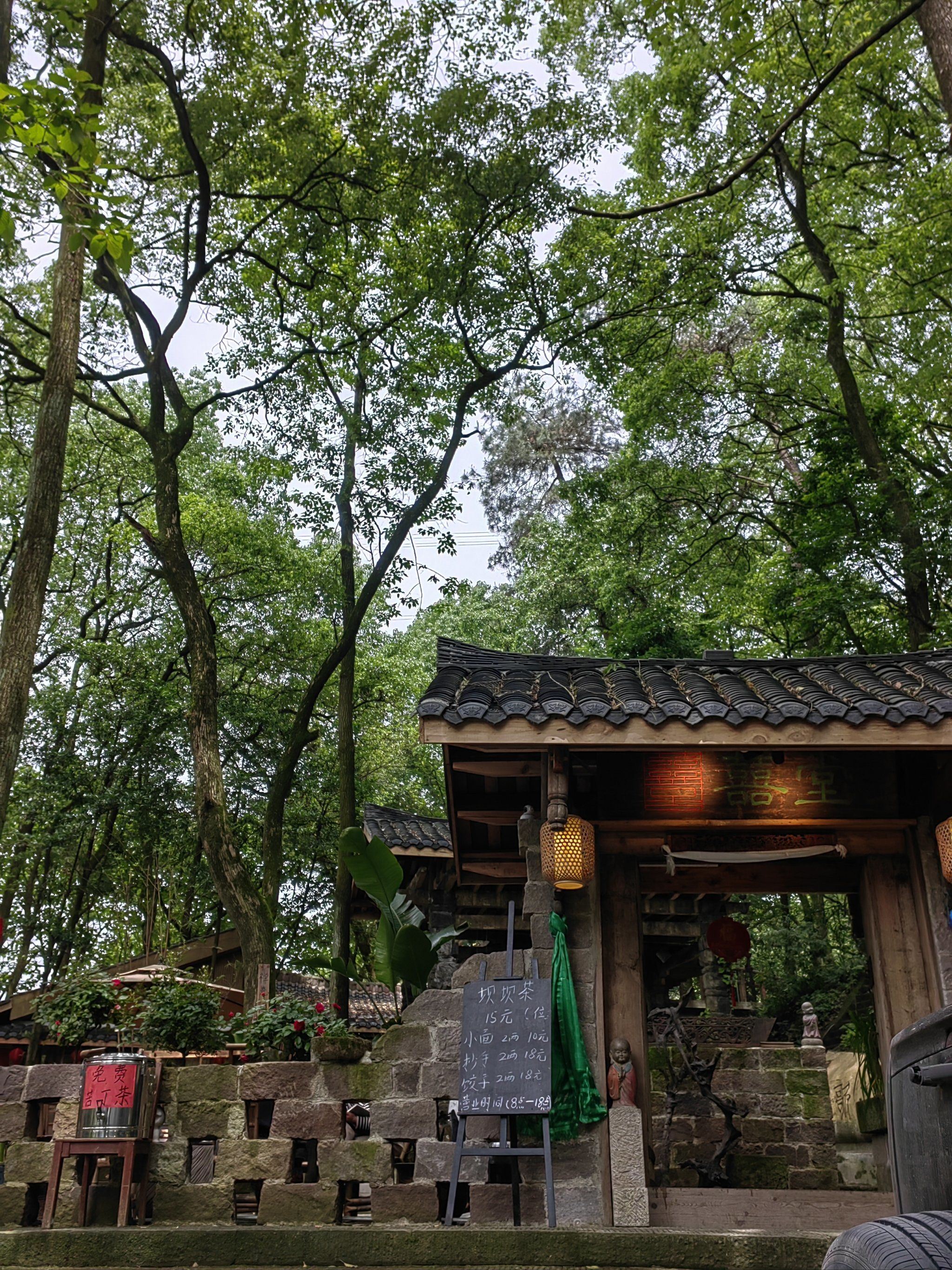 重庆歌乐山国家森林公园︱游玩笔记︱遛娃休闲