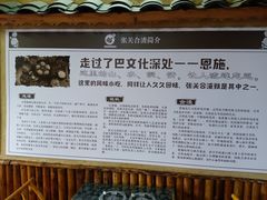 -张关合渣(航空大道店)