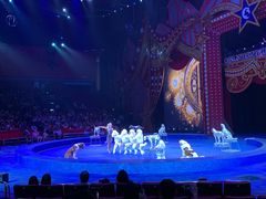 -珠海横琴长隆《卡卡虎奇遇记》