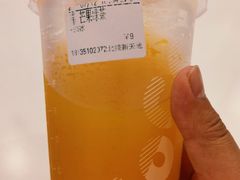 芒果绿茶-CoCo都可(北美店)