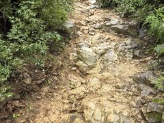 -北京西山国家森林公园