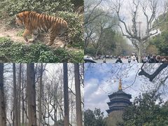 -杭州动物园