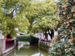 -丝绸小镇荻港古村