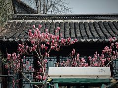 -老门东历史文化街区