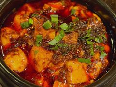 -陈麻婆豆腐(旗舰店)