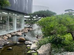 -罗红摄影艺术馆