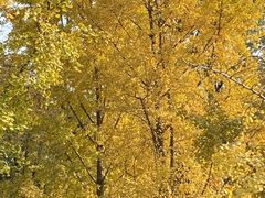 -重庆中央公园(渝北区)