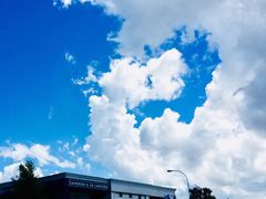 -怀托摩萤火虫洞