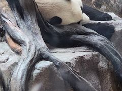 -宁波野生动物园