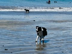 -Takapuna Beach Cafe