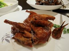 -甄御•海鲜新青岛菜(麦岛店)