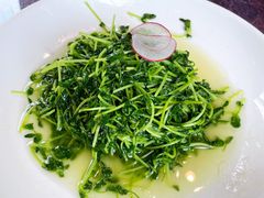 鸡毛菜-宁波状元楼酒店(和义路店)