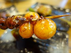 提灯-小隐(淮海路店)