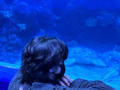 -左海海底世界