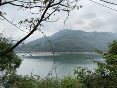 -泽雅景区