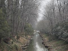 -合肥滨湖国家森林公园