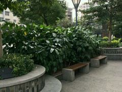-广州中医药大学第一附属医院(总院)
