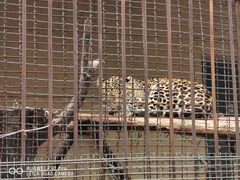 -昆明动物园