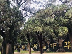-黄帝陵
